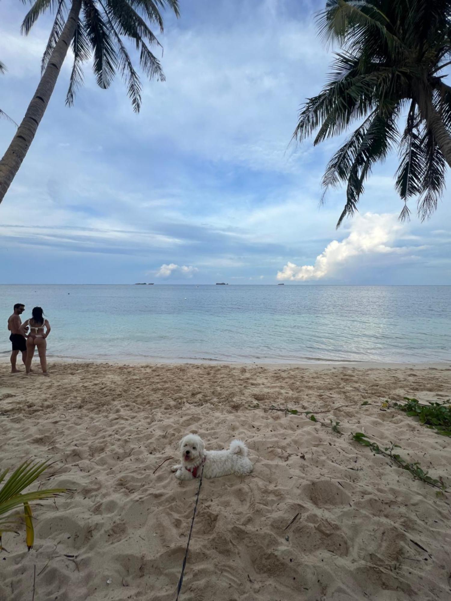 Summer Stay Sunrise W Starlink เจเนอรัลลูนา ภายนอก รูปภาพ